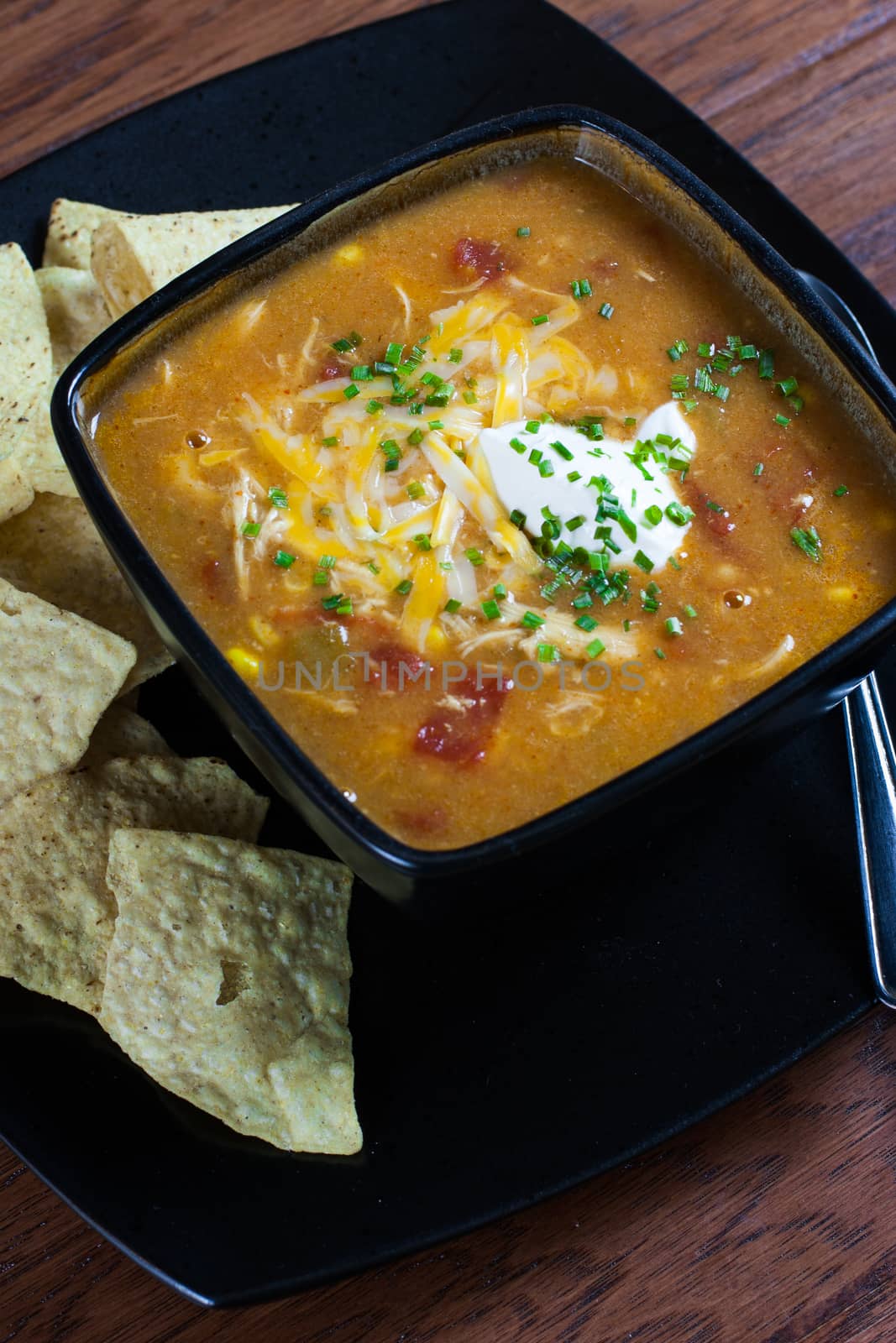 Chicken Enchilada Soup by SouthernLightStudios
