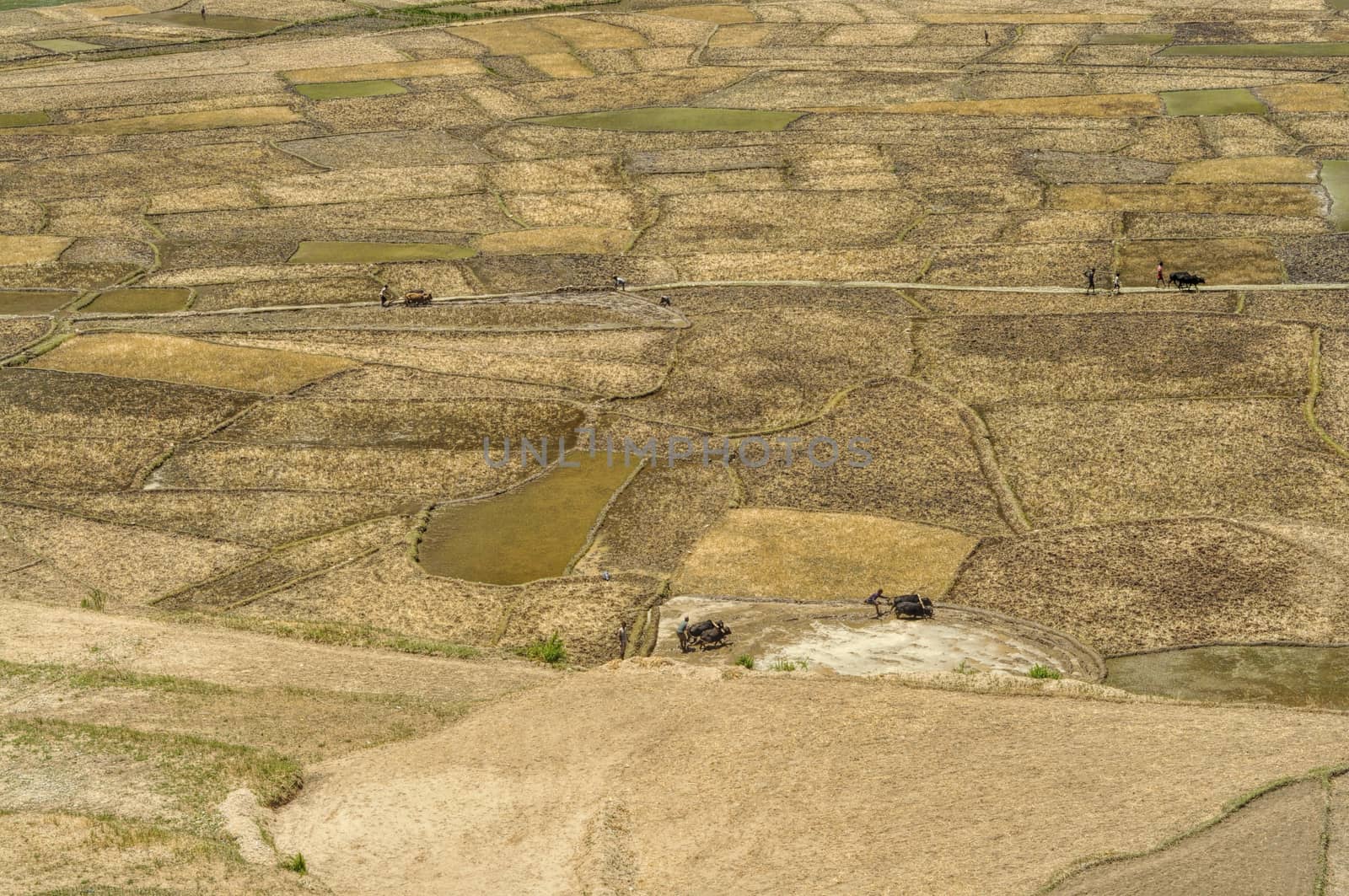 Scenic aerial view of traditional agriculture in Nepal