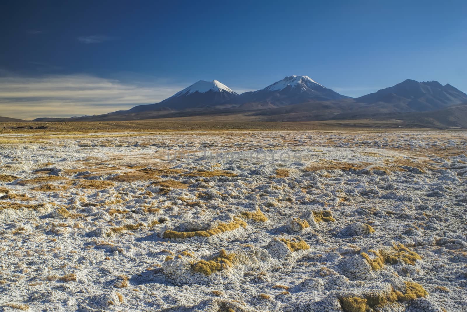 Picturesque view of bolivian volcanoes Pomerape and Paranicota, highest peaks in Sajama national park in Bolivia