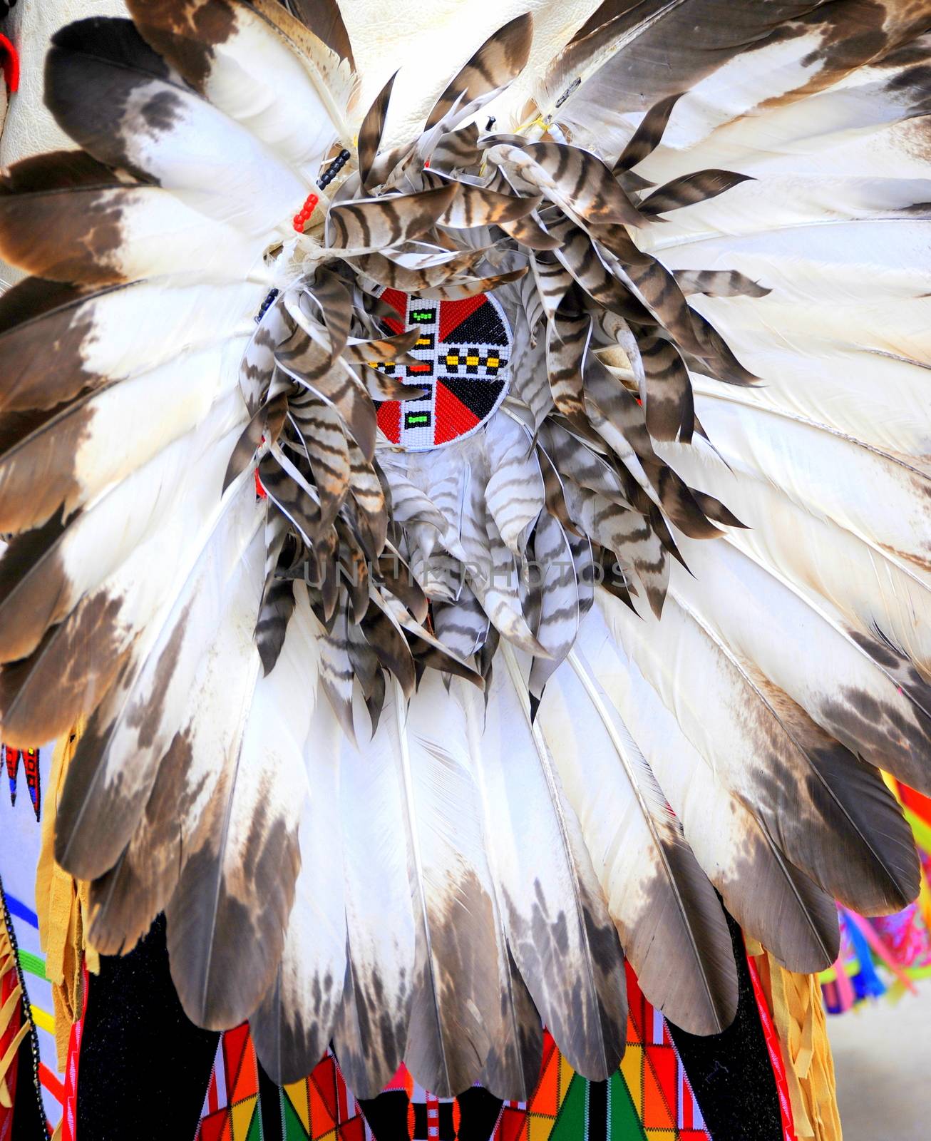 Native american indian tribal dancer performing outside.
