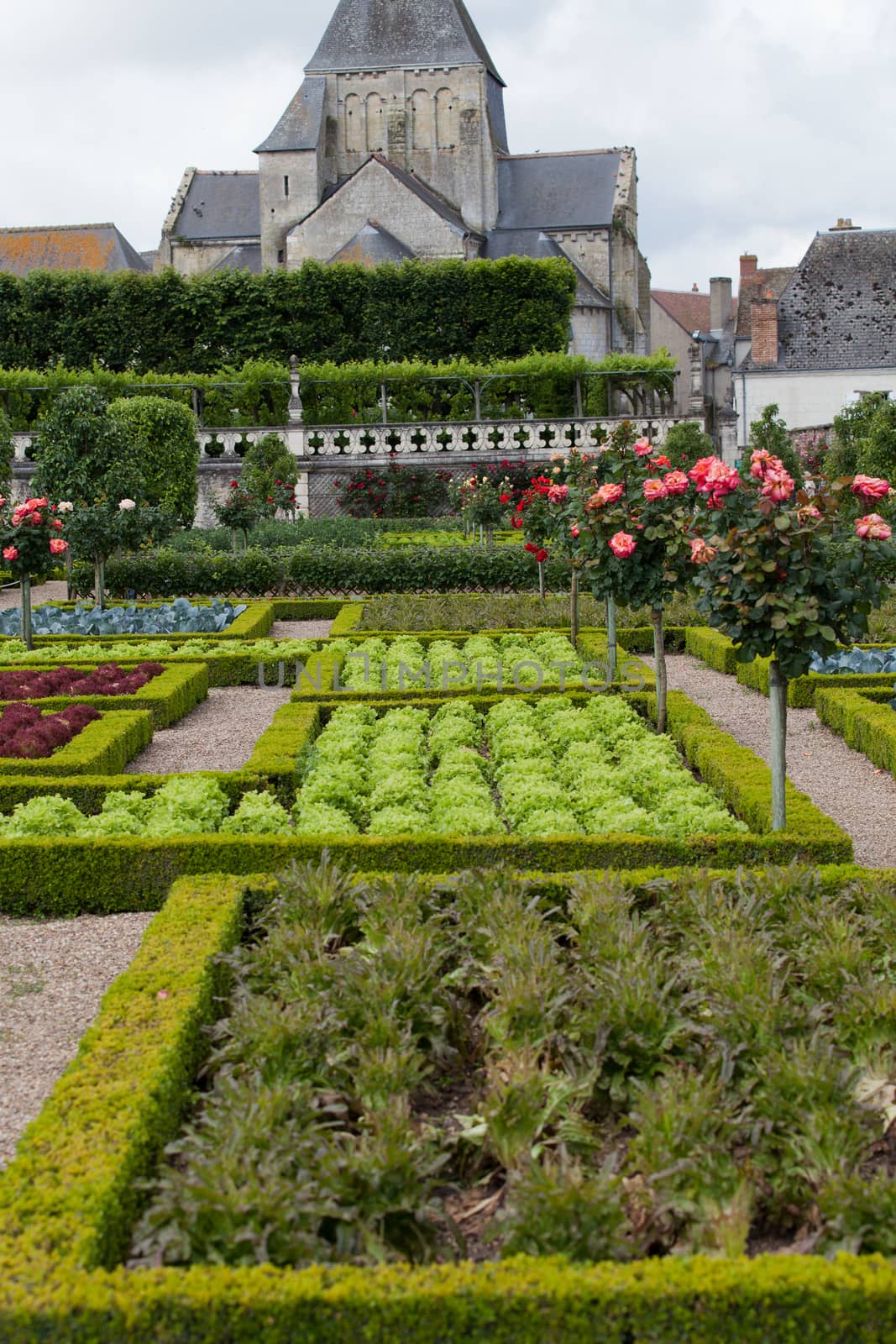 Gardens and Chateau de Villandry  in  Loire Valley in France  by wjarek