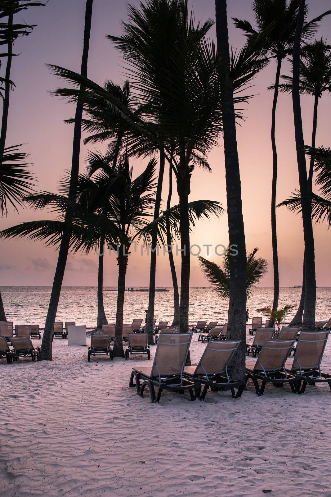 Caribbean Beach with sunbeds and palm trees at sunrise
