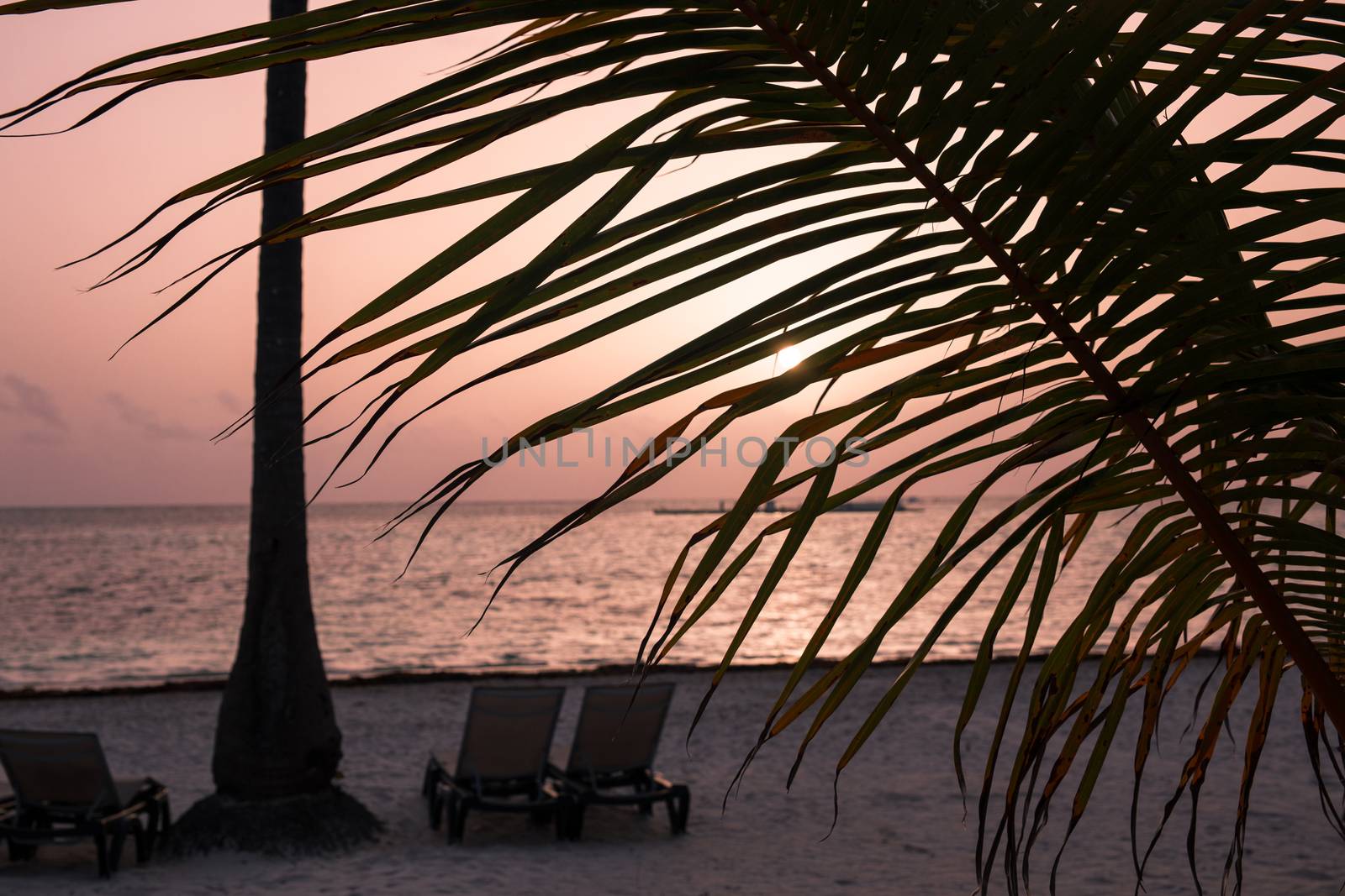 Caribbean Beach at sunrise by alex_bendea