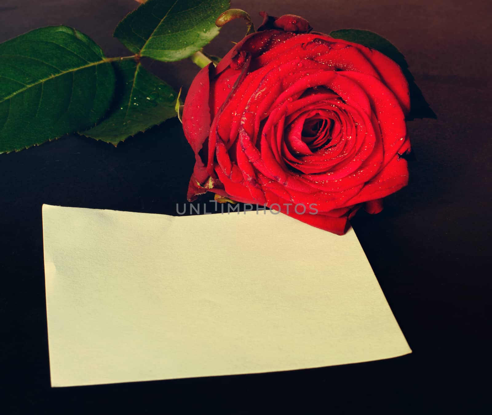 romantic valentine message by sarkao