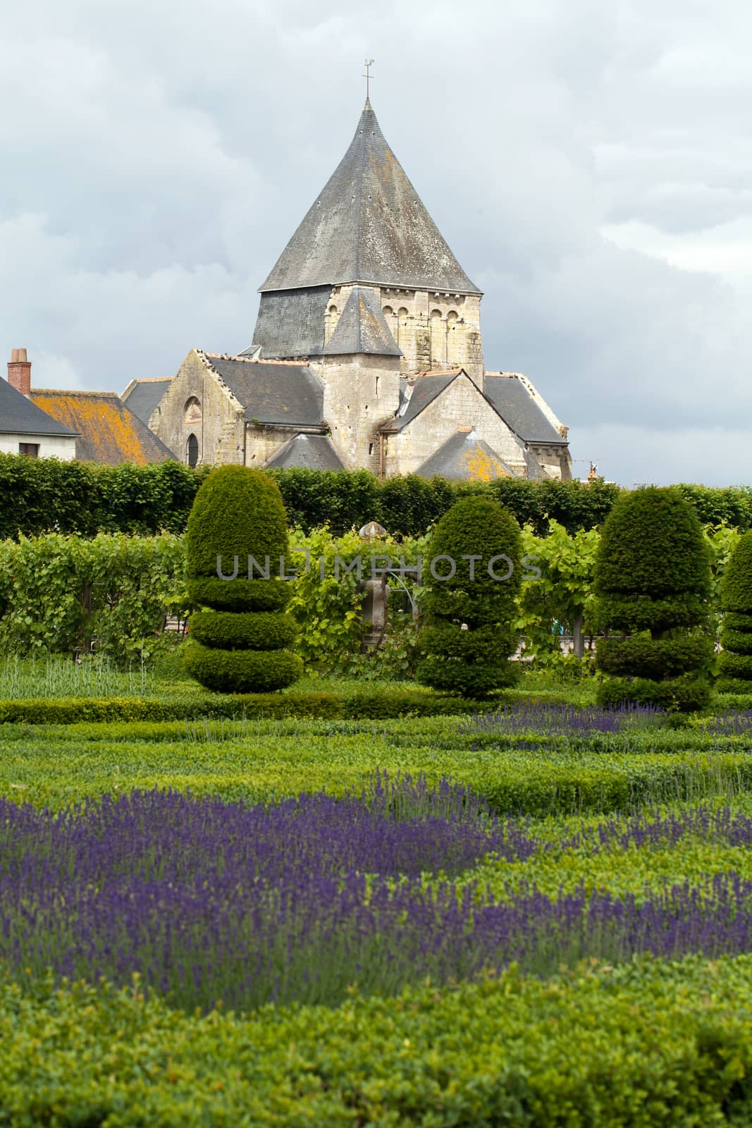 Gardens and Chateau de Villandry  in  Loire Valley in France 