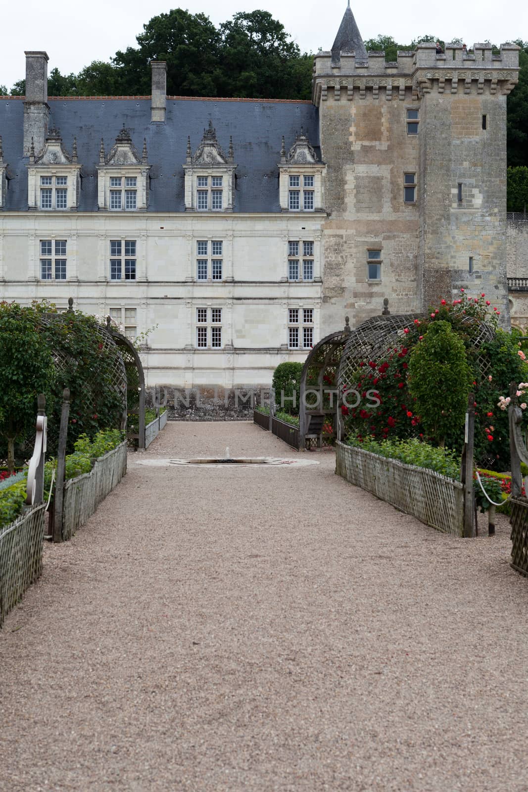 Gardens and Chateau de Villandry  in  Loire Valley in France 