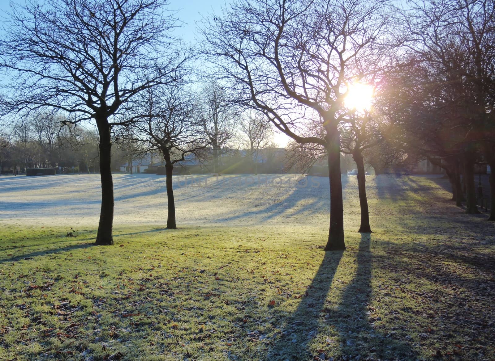 An image of Winter sun in a cold frosty landscape.