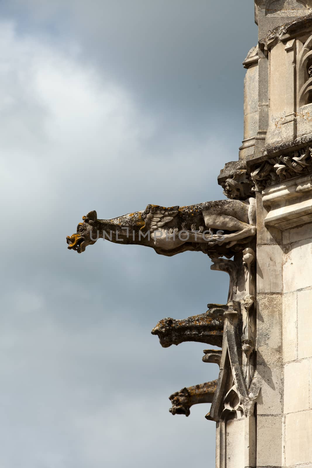 old gargoyles on the wall of the castle in Amboise by wjarek