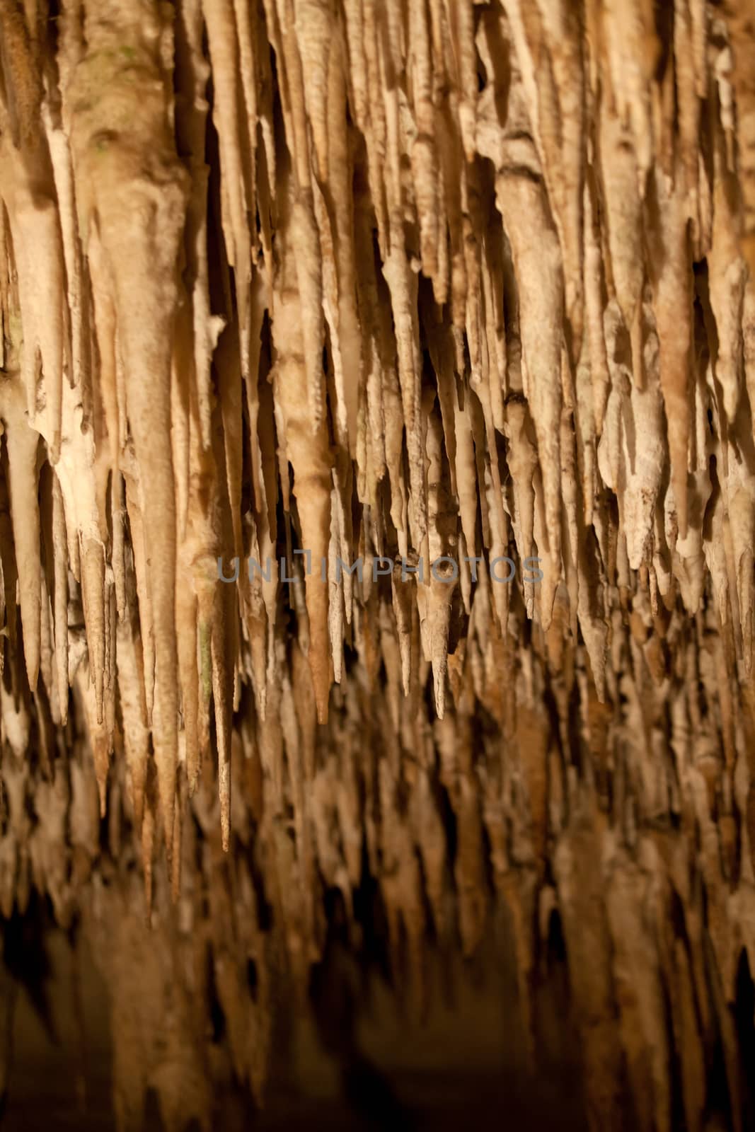 Caves of Drach with many stalagmites and stalactites. Majorca, Spain 