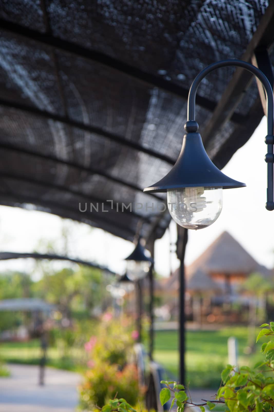 Lamps and Bulbs Light a walkway in the garden lamp black.