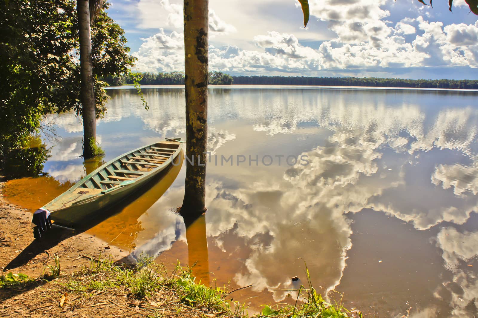 Amazon Basin, Peru by giannakisphoto