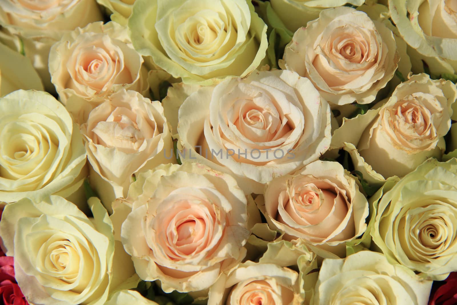 Pink roses in different shades in wedding arrangement by studioportosabbia