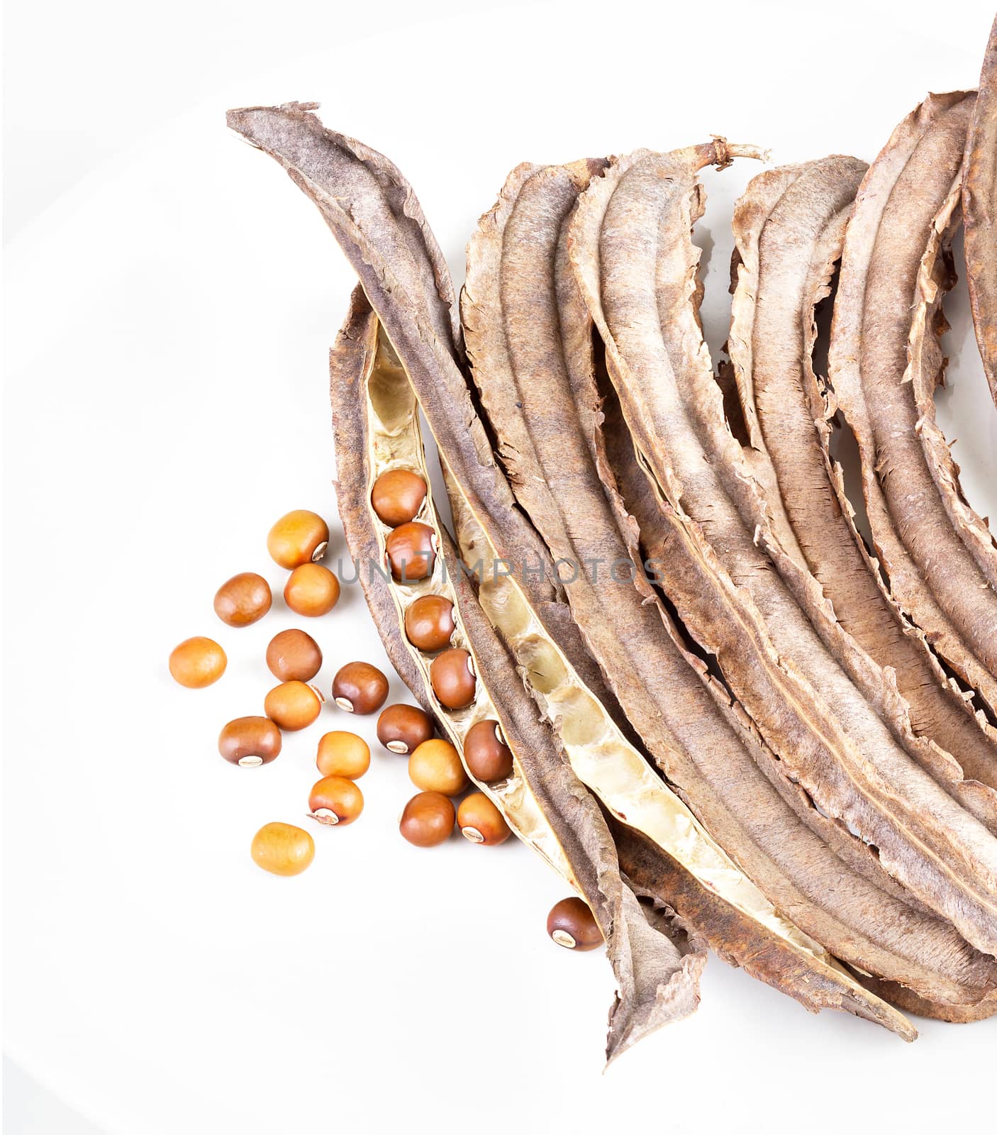 dried Winged Bean seed and bean pod on white dish