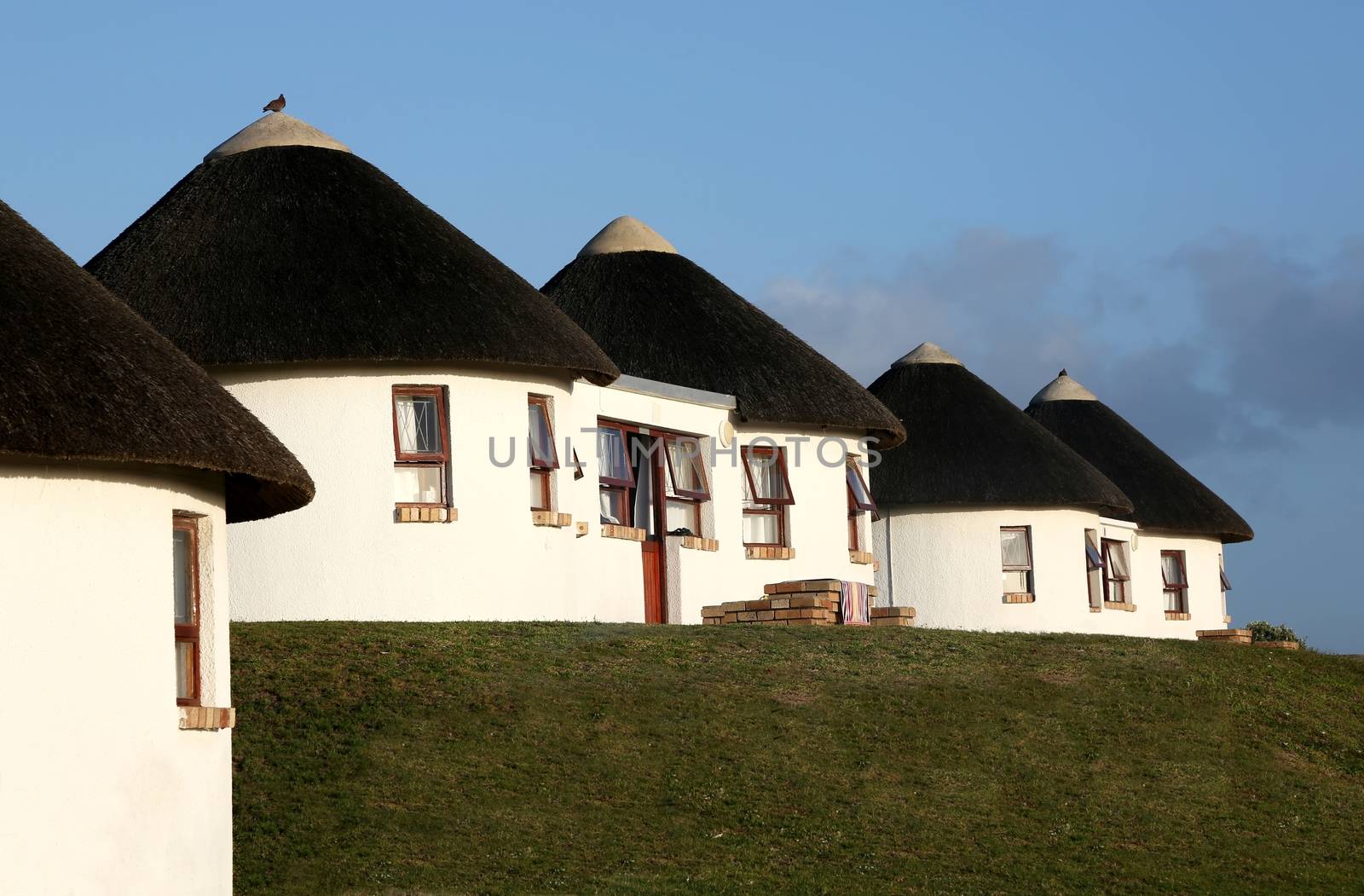 Quaint round holiday cottages with round walls and thatched roof
