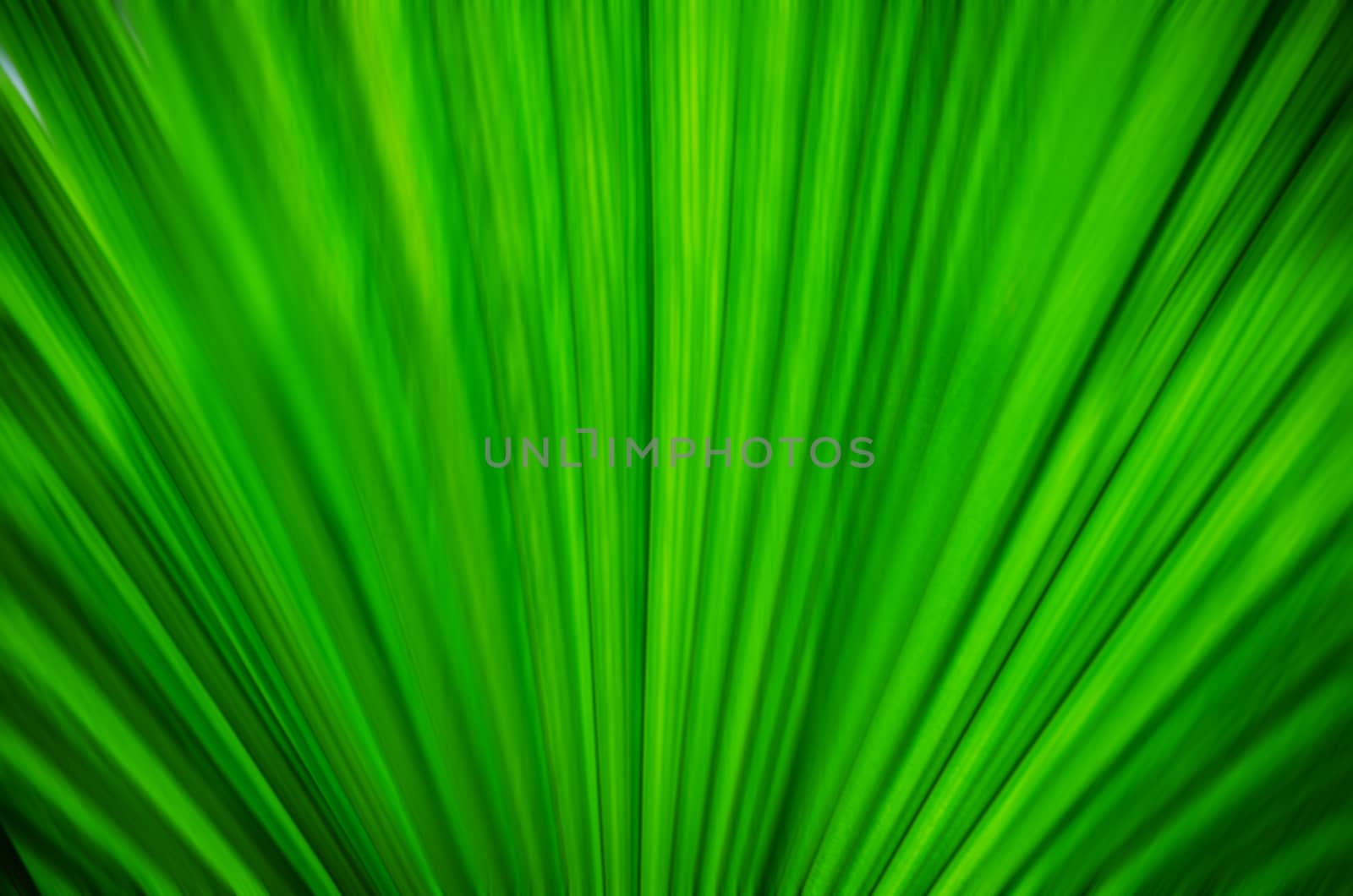 green background by sarkao