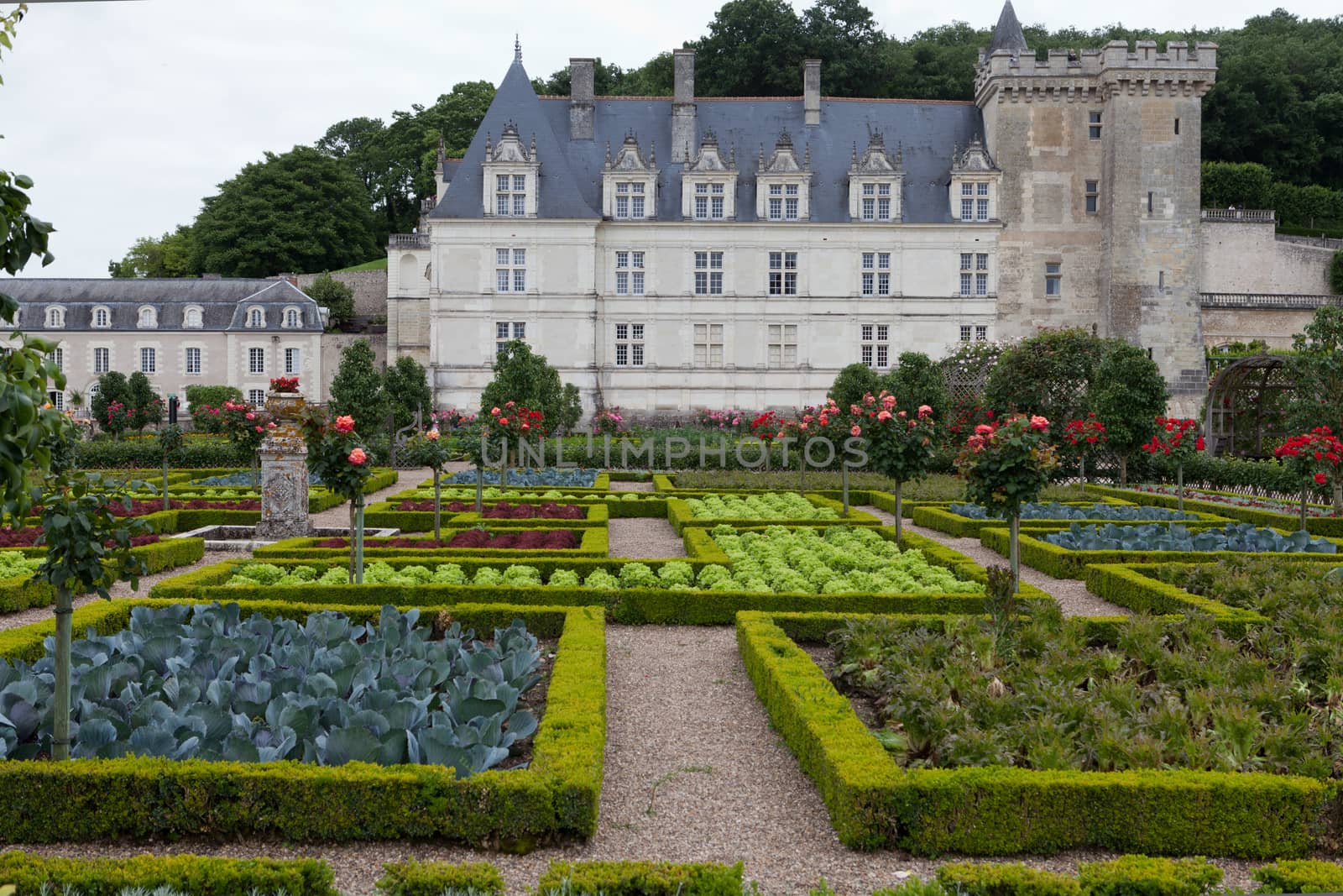 Kitchen garden in  Chateau de Villandry. Loire Valley, France 