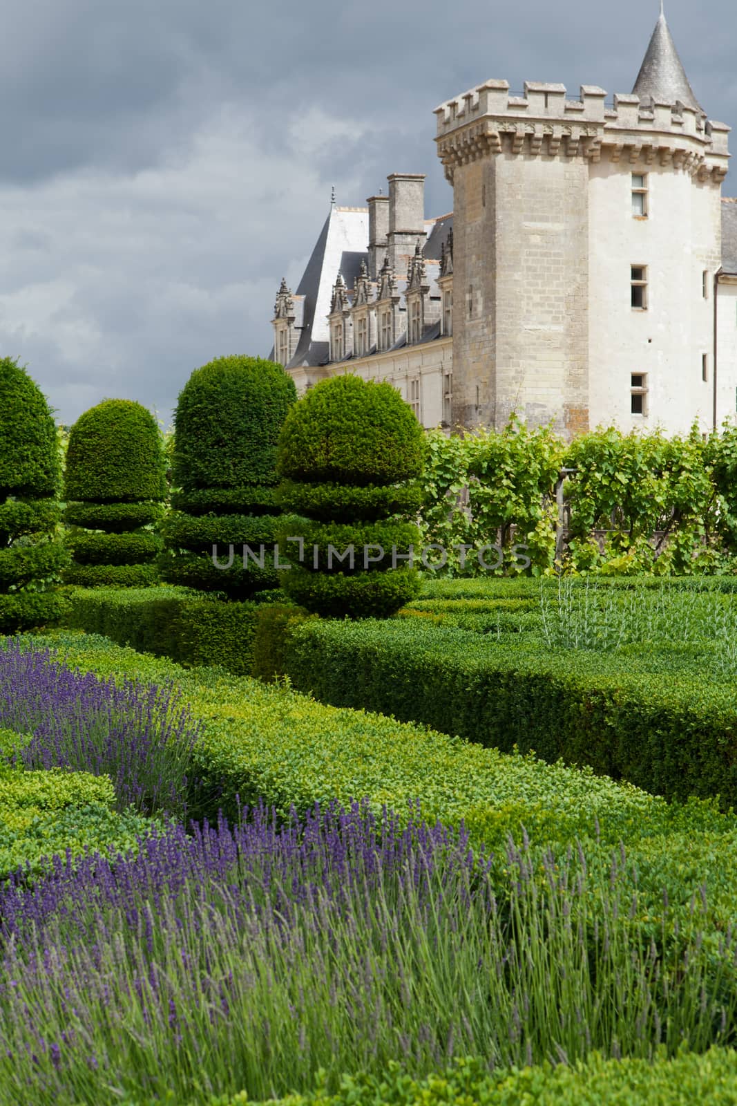 Gardens and Chateau de Villandry  in  Loire Valley in France 