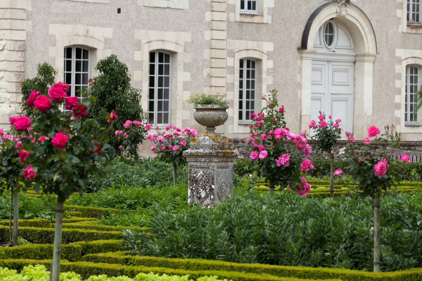 Kitchen garden in  Chateau de Villandry. Loire Valley, France 