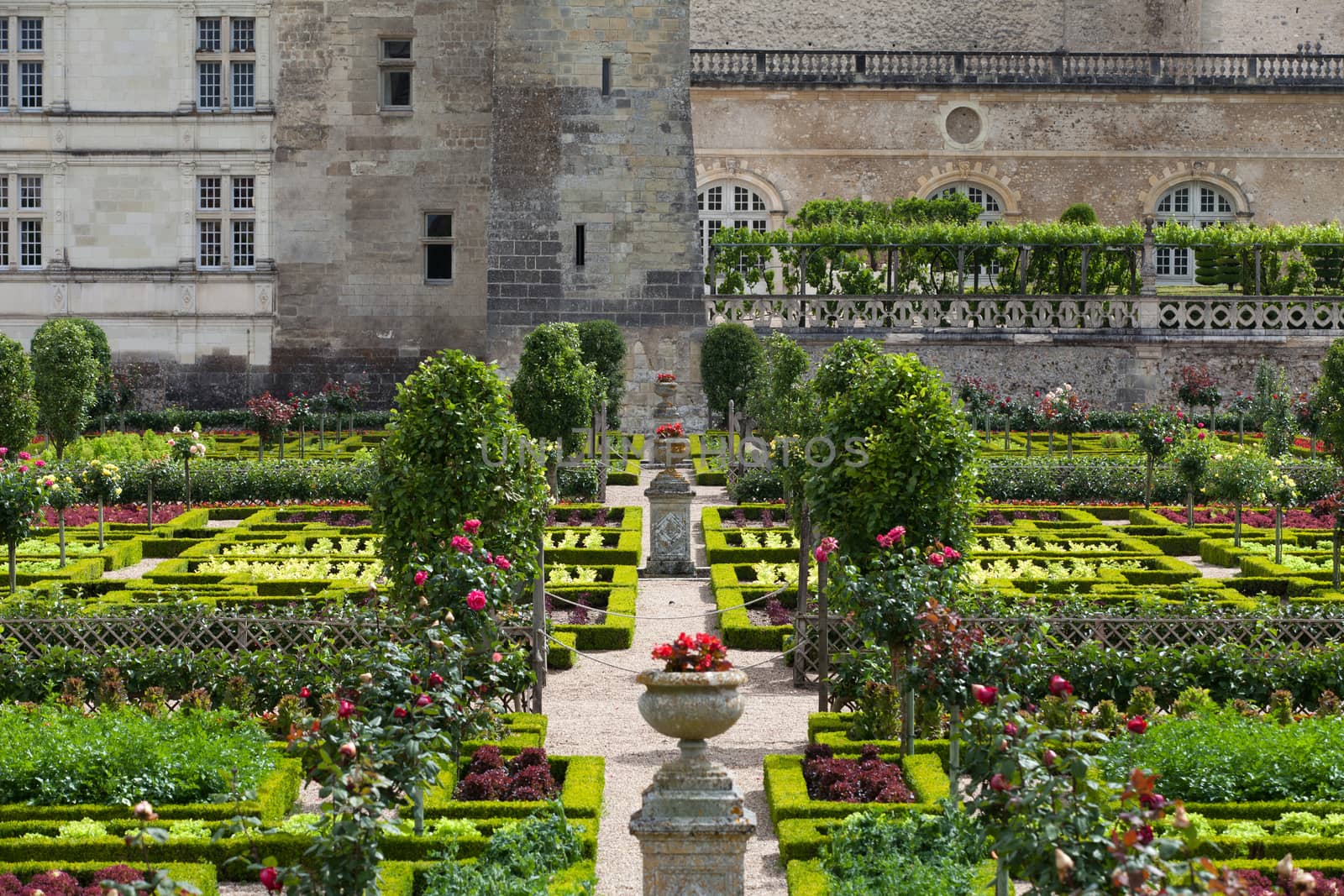 Gardens and Chateau de Villandry  in  Loire Valley in France 