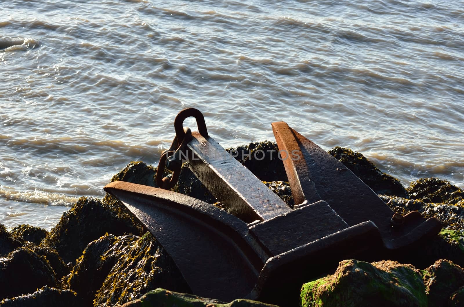 Rusty anchor on Rocks by pauws99