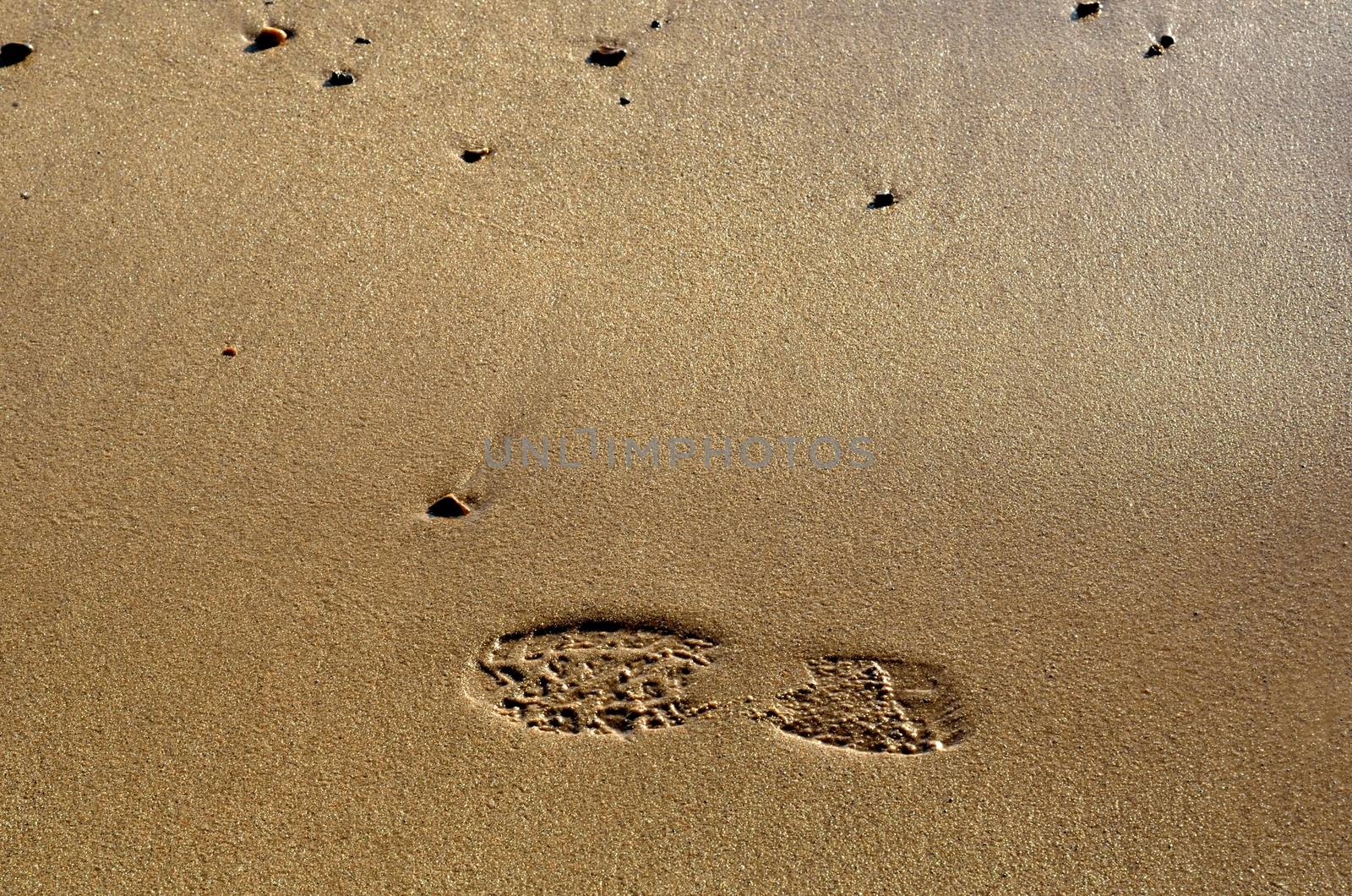 footprint in wet sand by pauws99