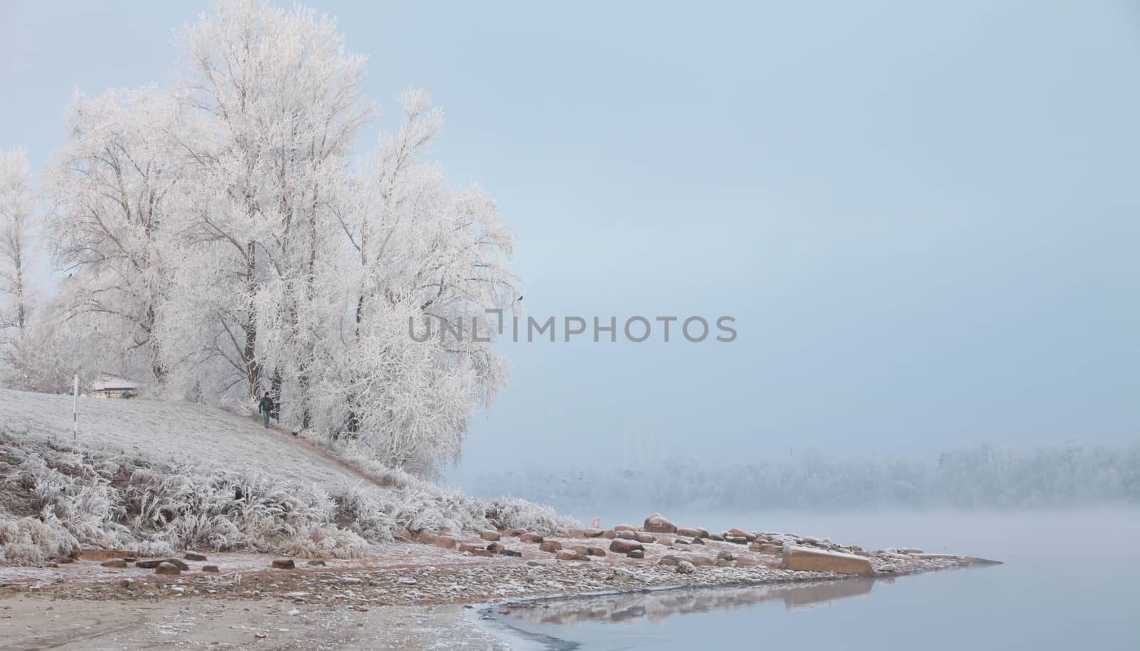 quiet misty morning on the river