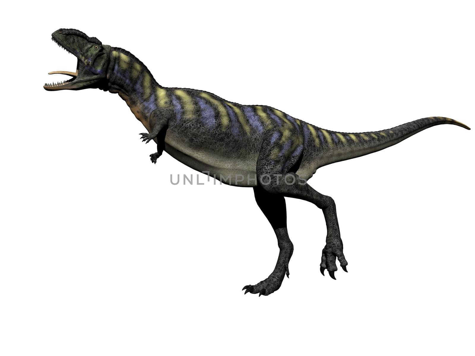 aucasaurus dinosaur in white background - 3d render