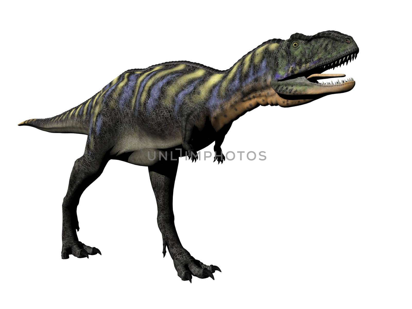 aucasaurus dinosaur in white background - 3d render