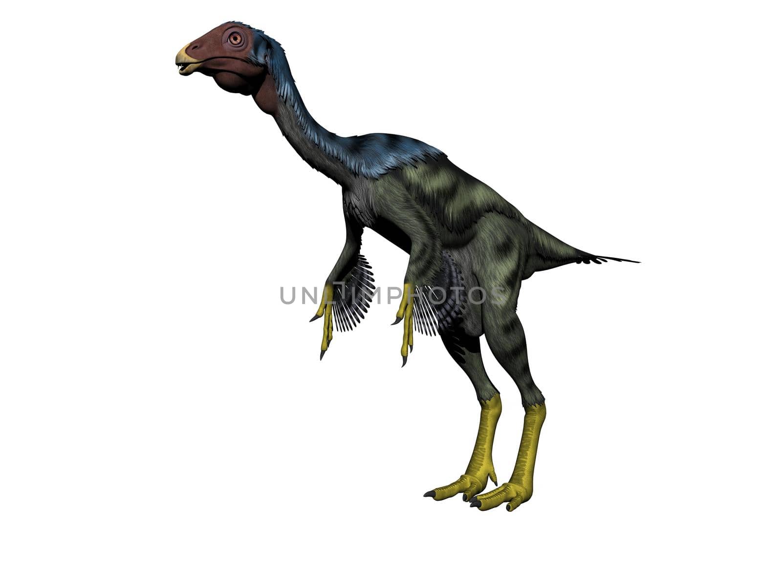 caudipteryx dinosaur in white background - 3d render