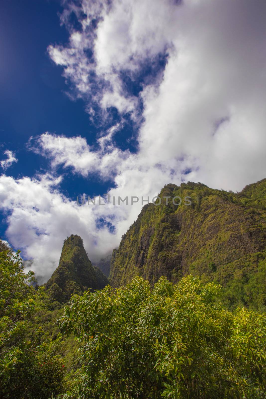 Iao Needle in Rain Forest by Creatista