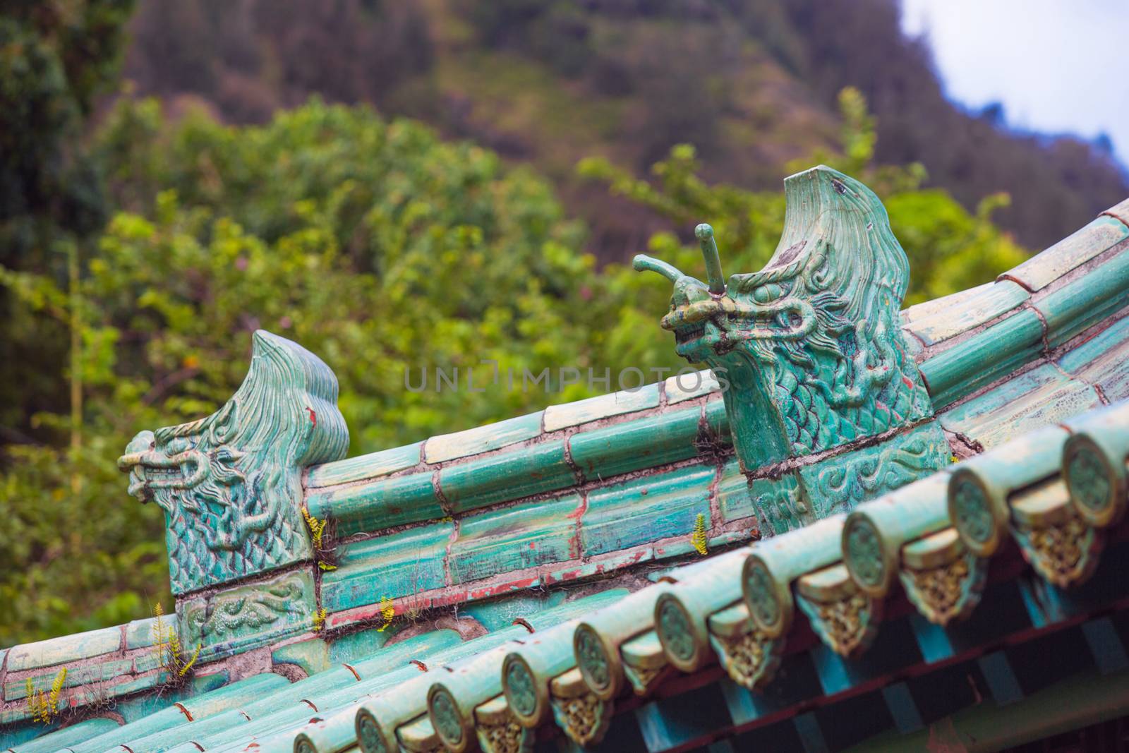 Two Chinese Rooftop Dragon Architectural Details