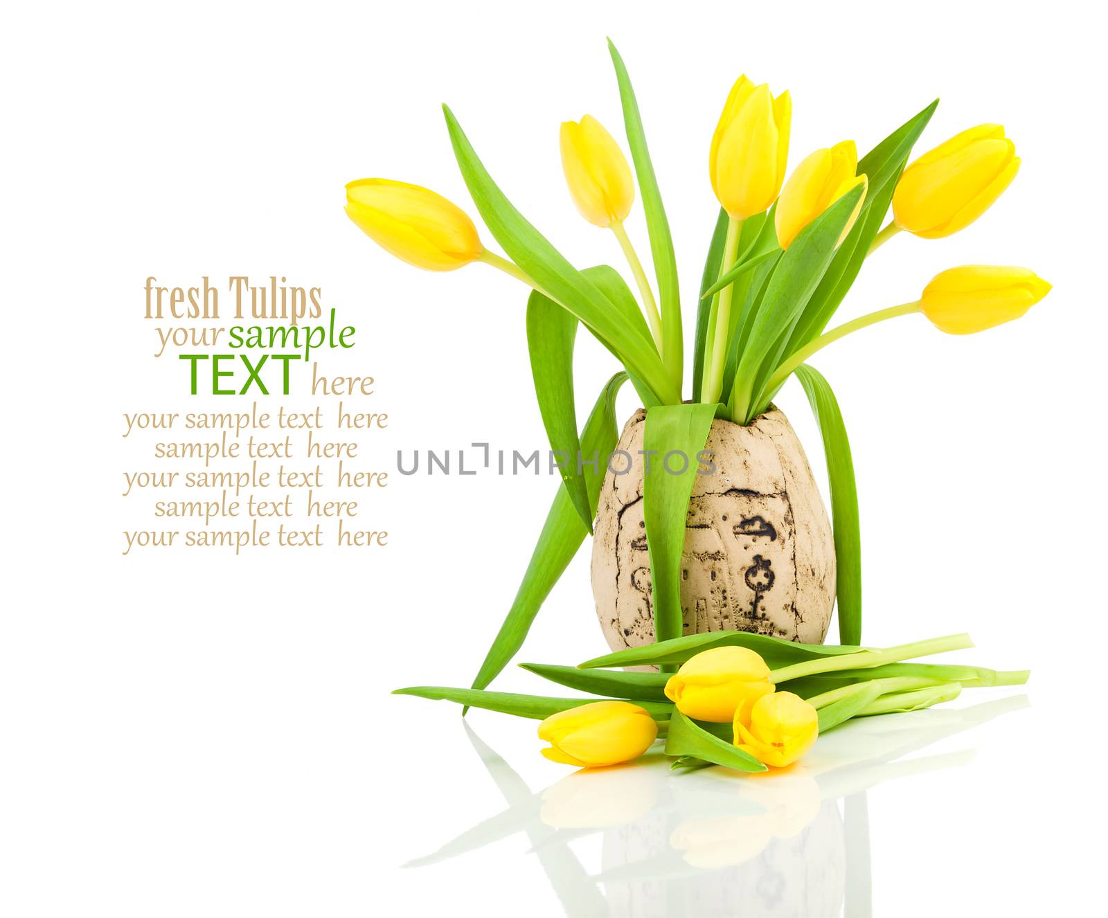 tulips in a vase isolated on white background