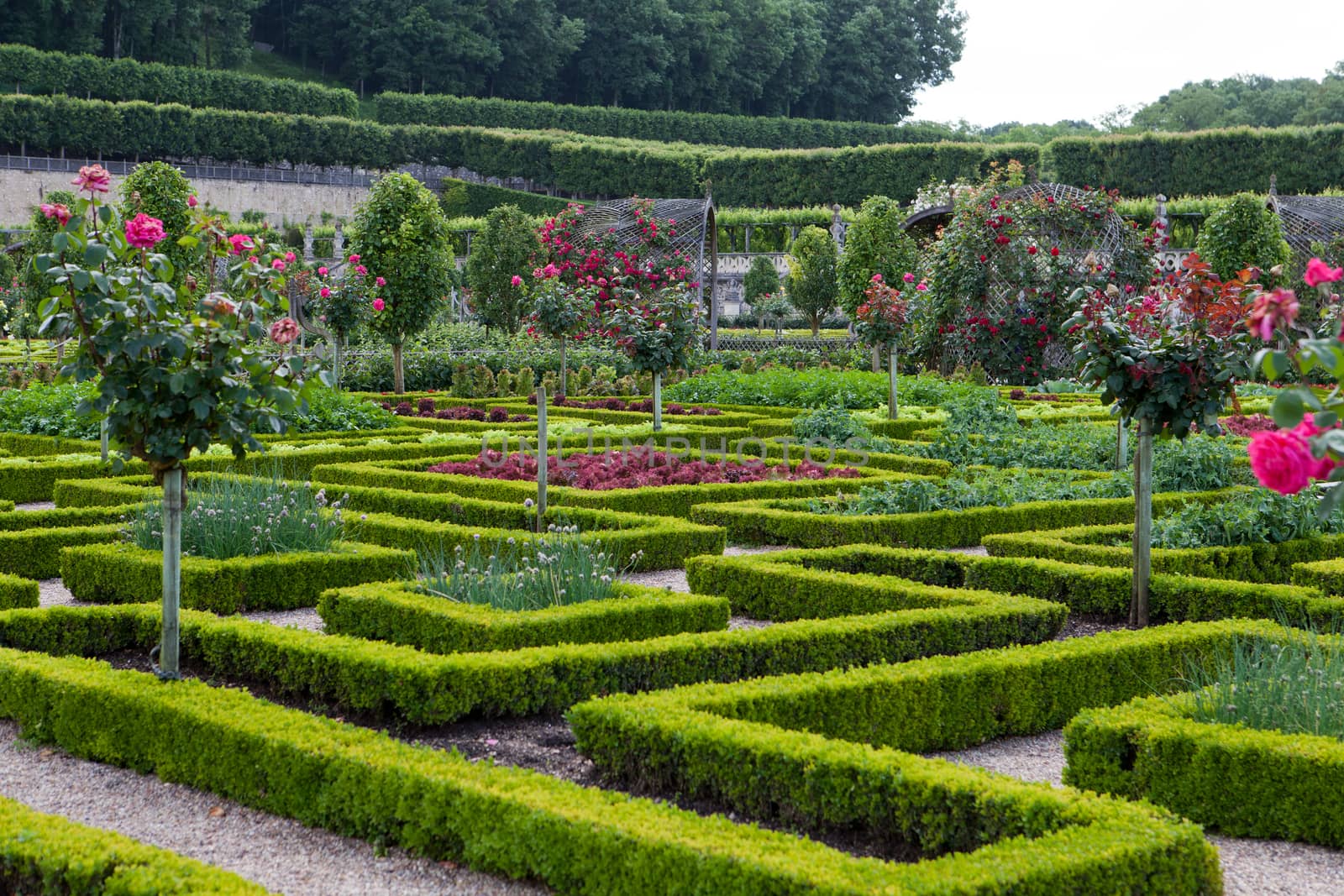 Gardens and Chateau de Villandry  in  Loire Valley in France 