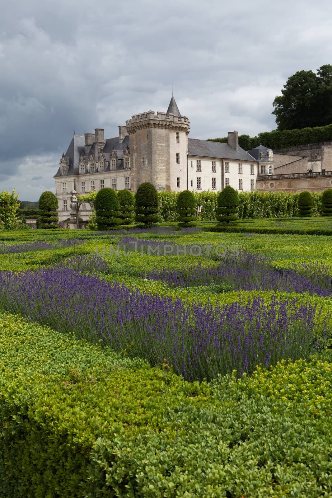 Gardens and Chateau de Villandry  in  Loire Valley in France 