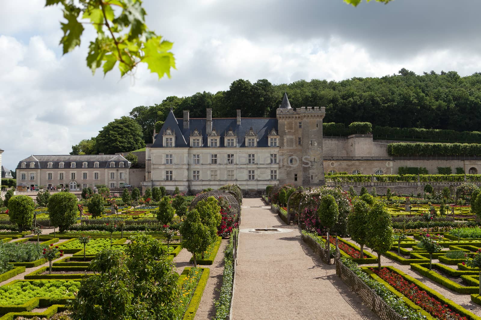 Gardens and Chateau de Villandry  in  Loire Valley in France  by wjarek