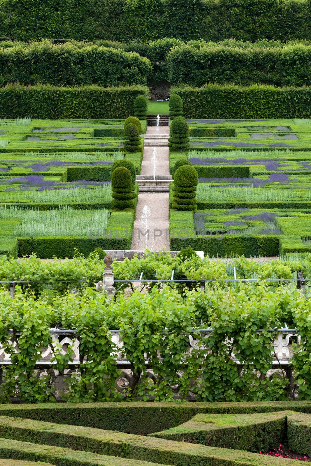 Gardens and Chateau de Villandry  in  Loire Valley in France 