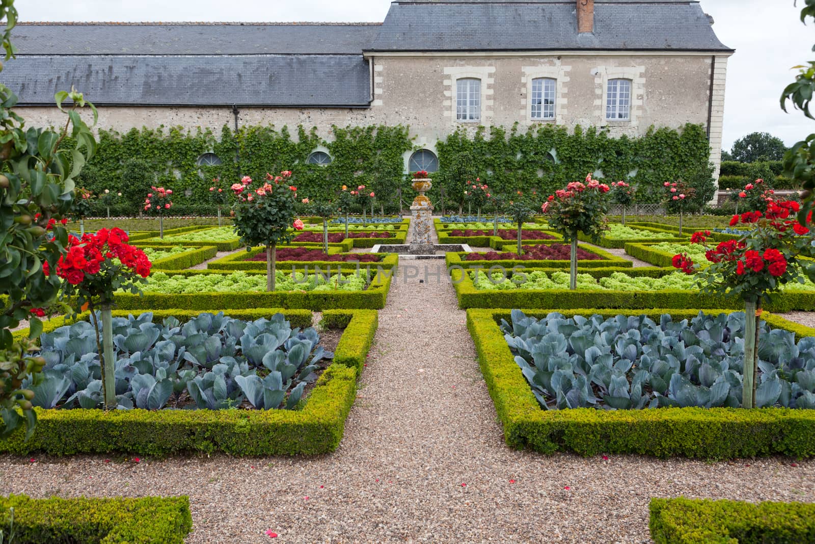 Kitchen garden in  Chateau de Villandry. Loire Valley, France  by wjarek