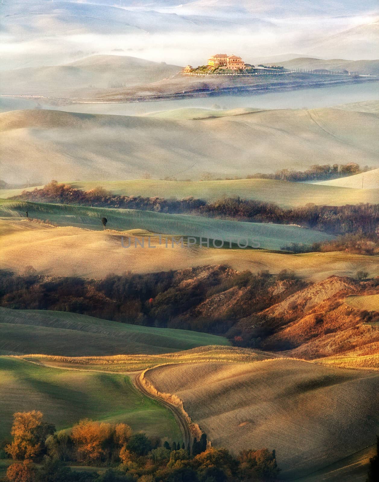 A paint of Tuscany by stefanoventuri