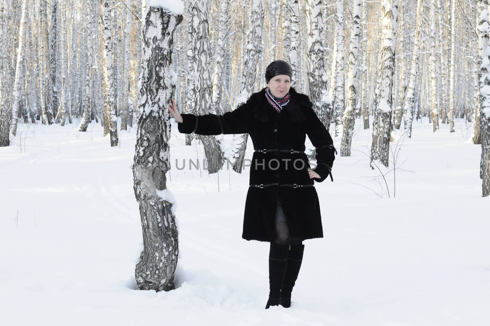 The woman in a black fur coat costs in the birch wood in the win by veronka72