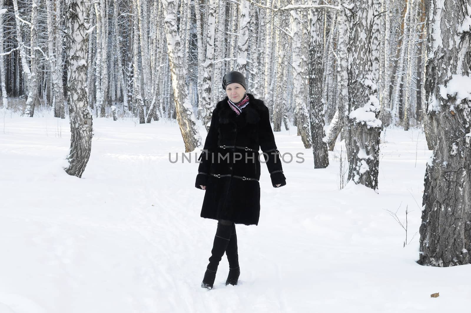 The woman in a black fur coat costs in the birch wood in the win by veronka72
