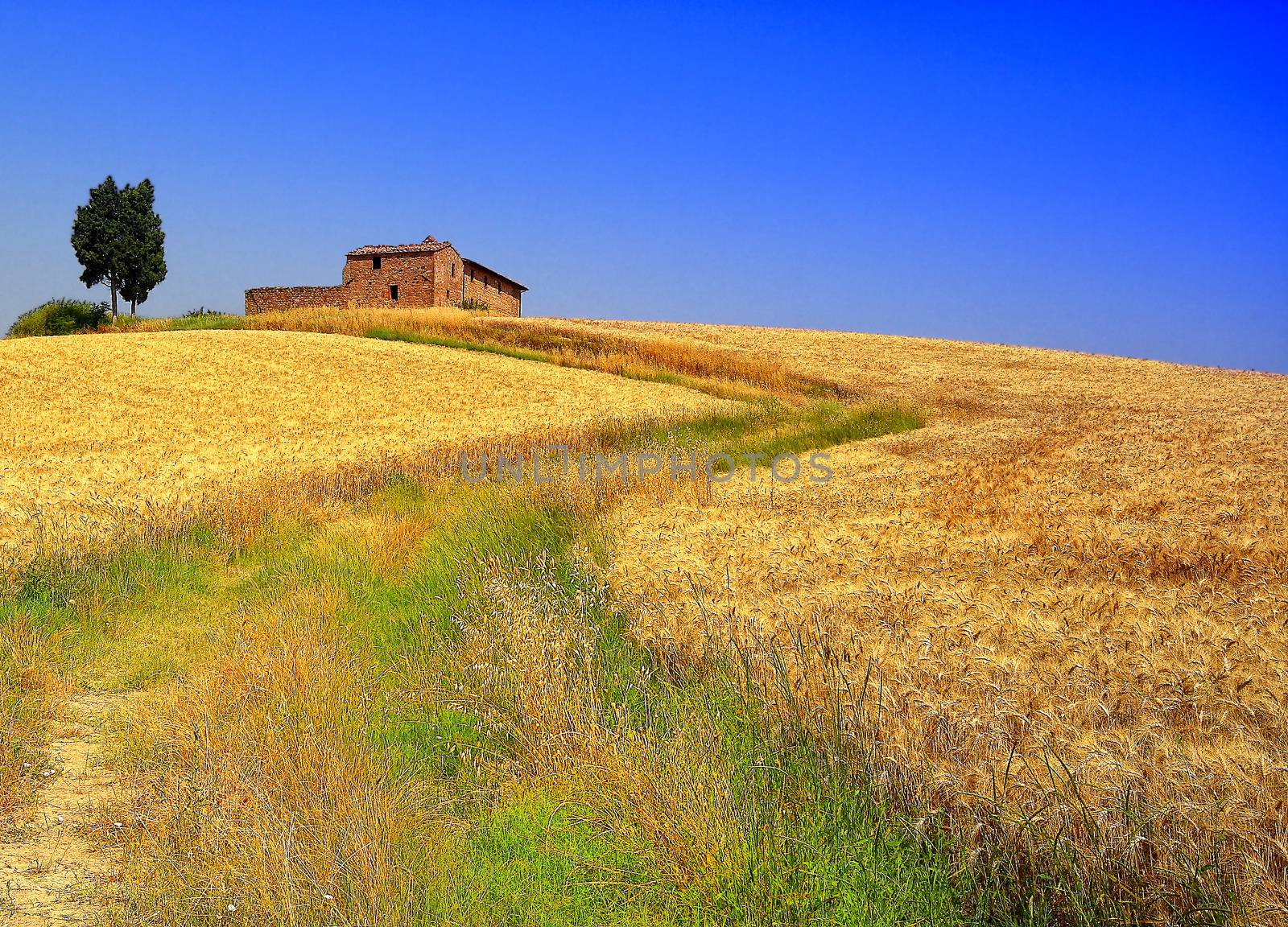 The hill of loneliness in Tuscany