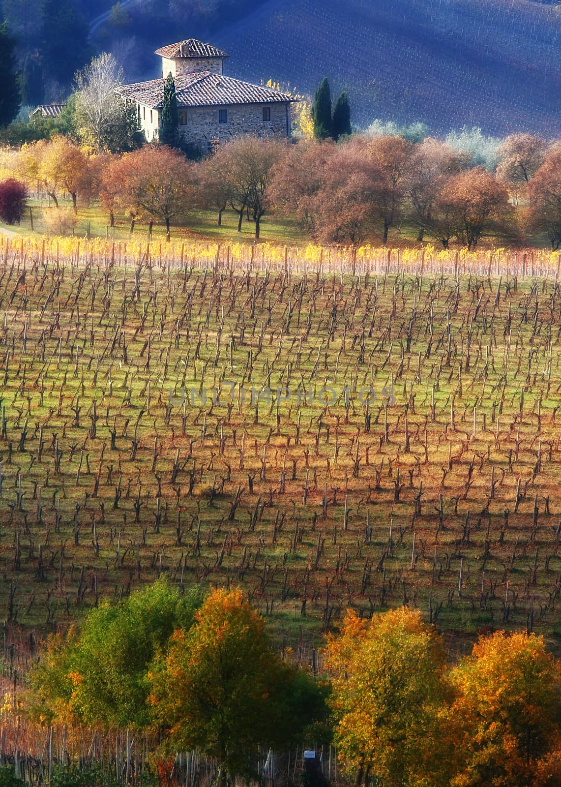 Tuscan landscape by stefanoventuri