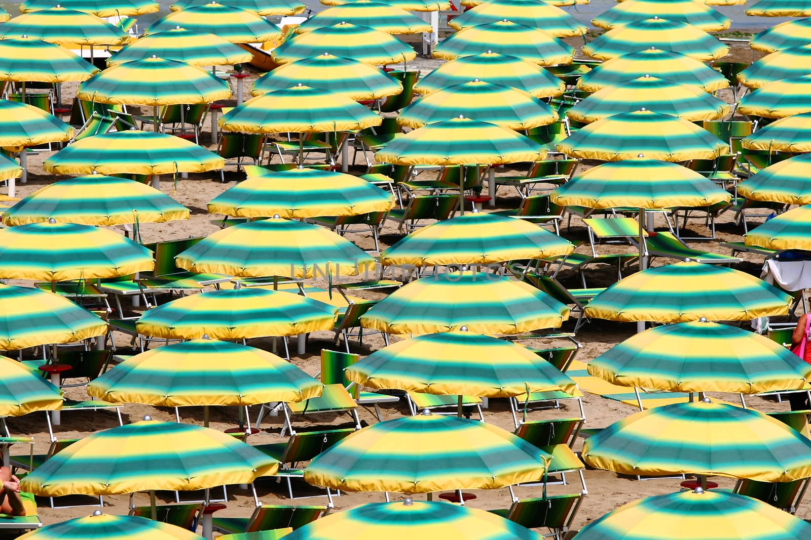 A lot of green and yellow umbrella 