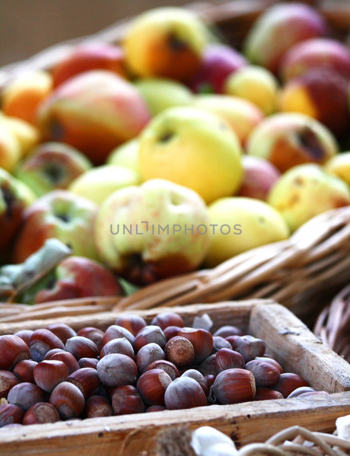 Hazelnuts and apples by stefanoventuri