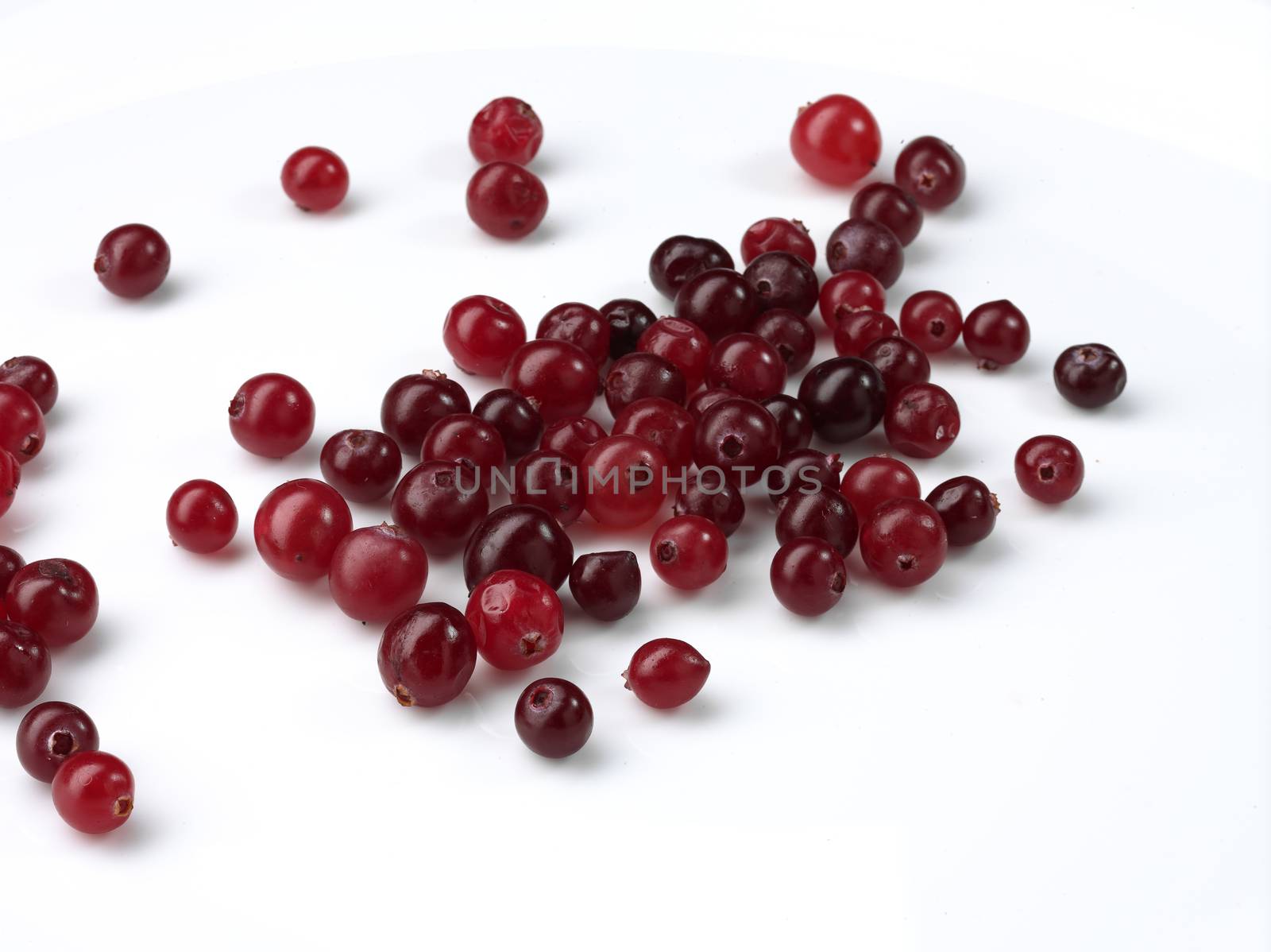 Tasty Cranberry berries over white background