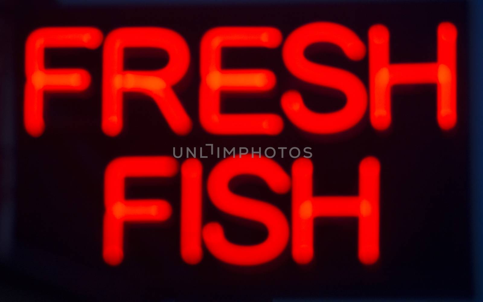 Fresh fish  neon sign at night in street photo.