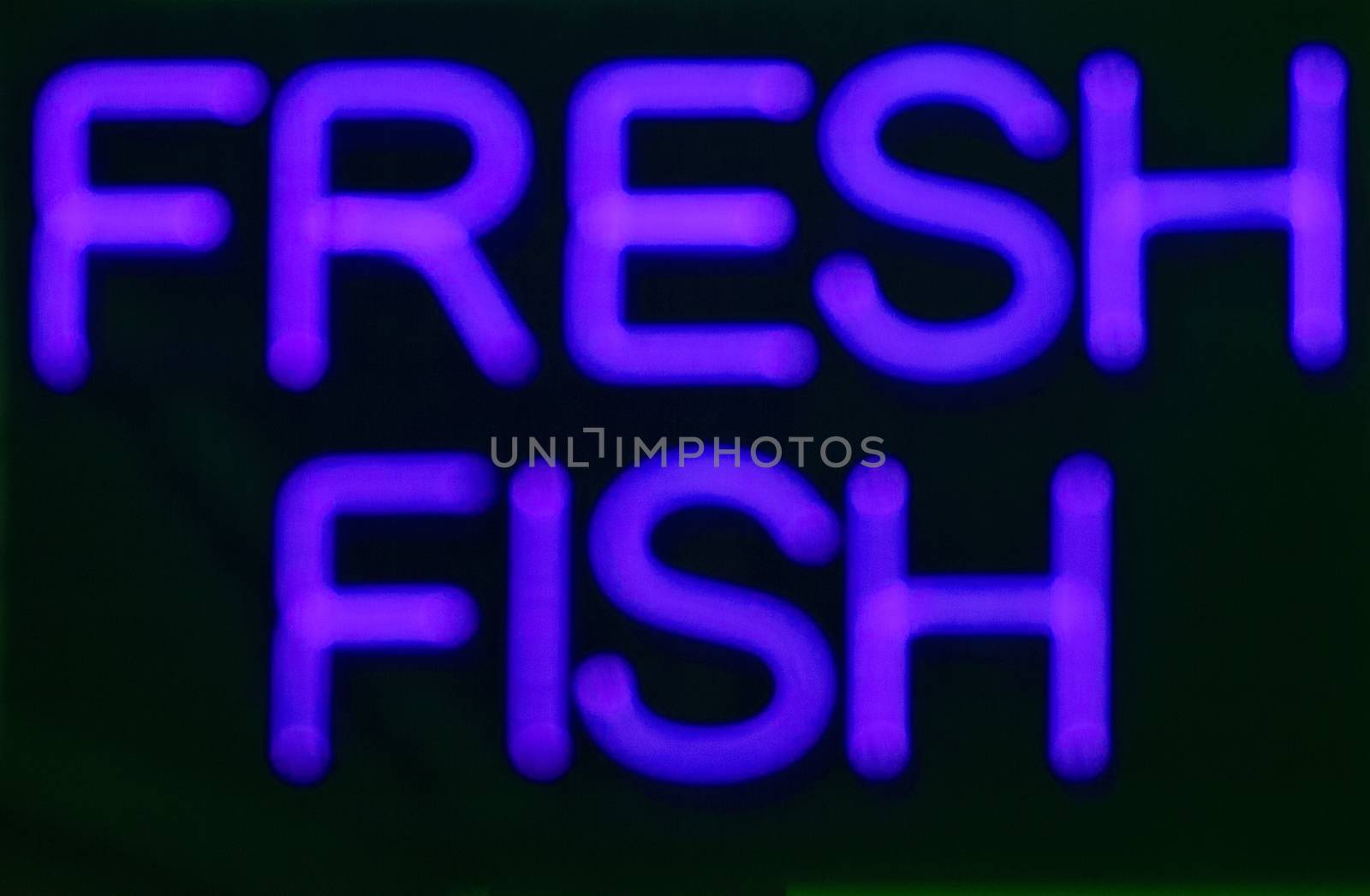 Fresh fish  neon sign at night in street photo.