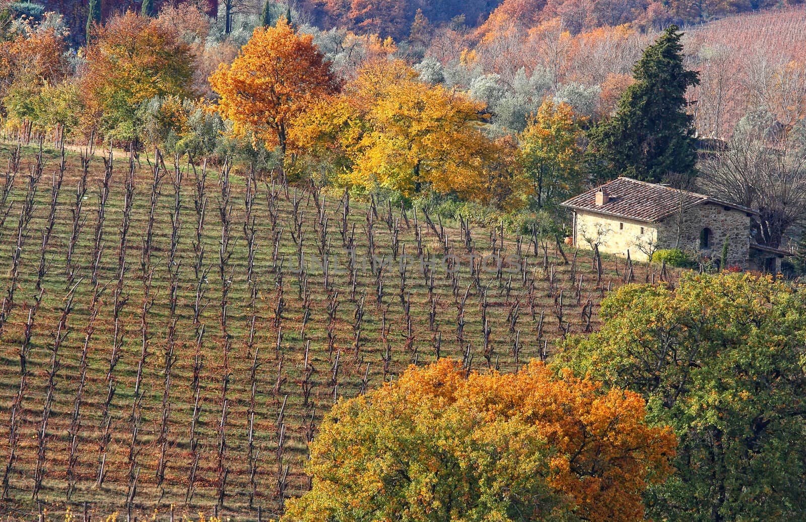 Tuscan cottage by stefanoventuri