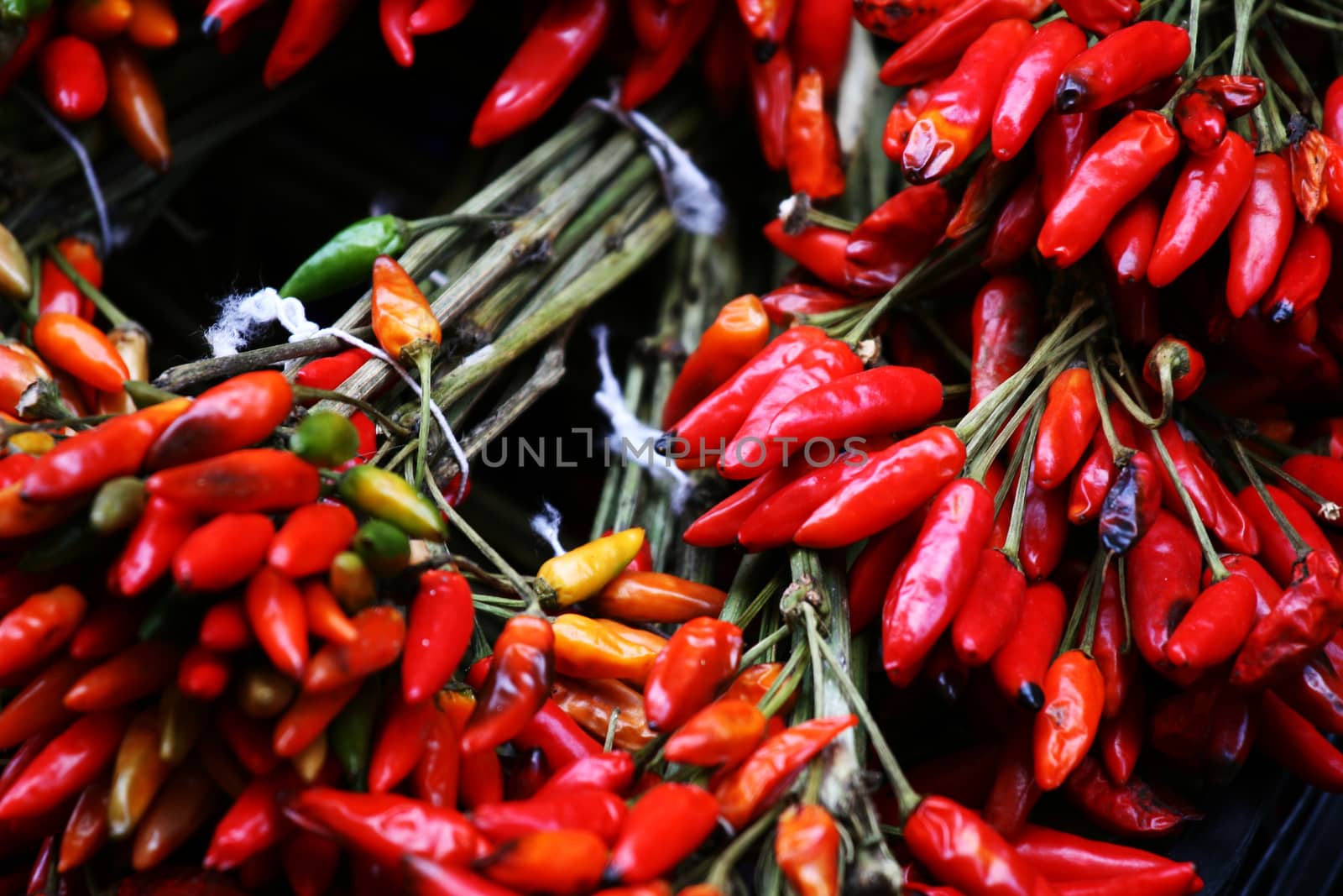 Red hot chili pepper by stefanoventuri