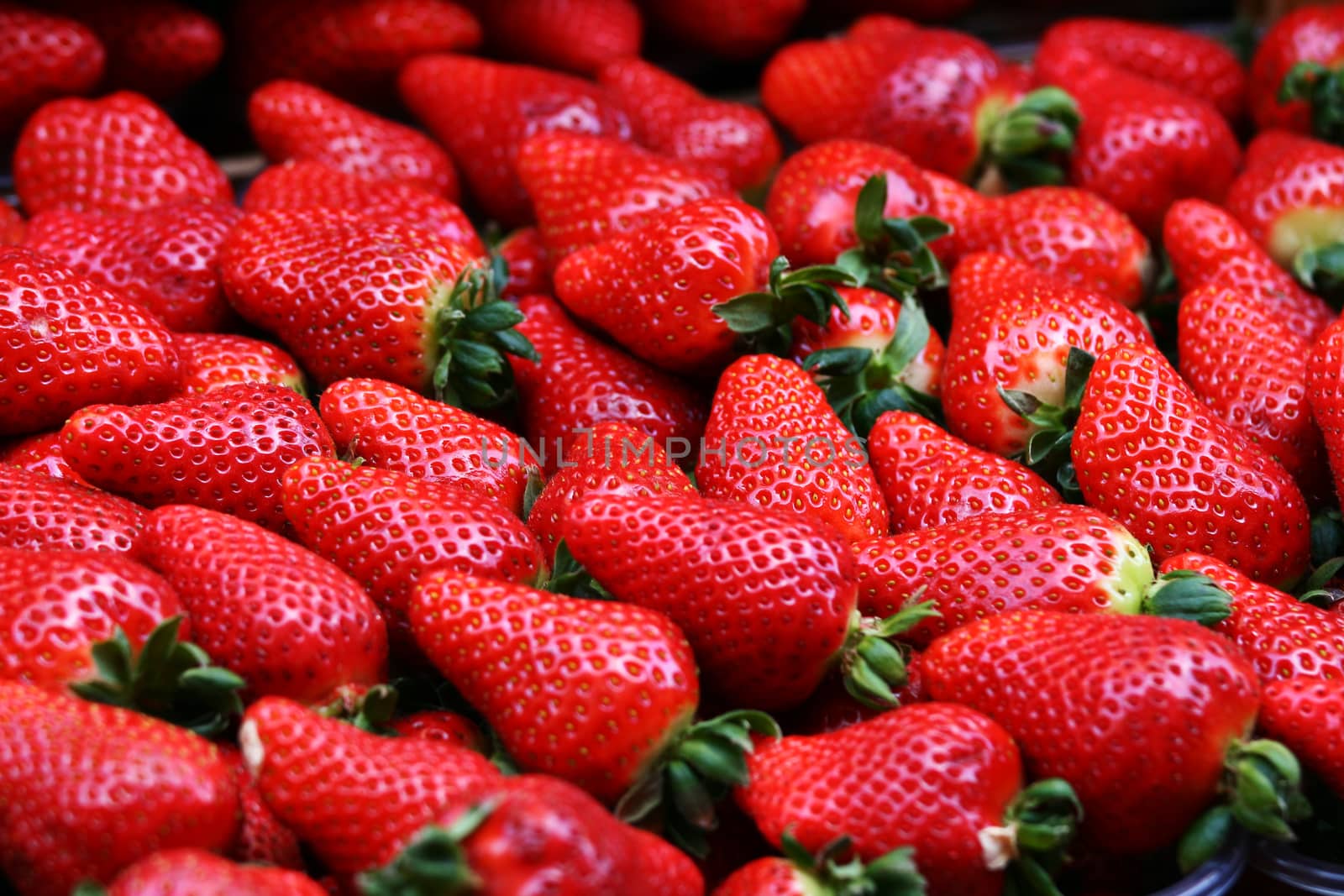 Fresh organic strawberries